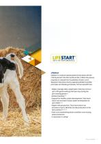 Sprayfo calf rearing brochure - 5