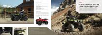 2017 REC/UTILITY ATVs-10