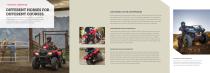 2017 REC/UTILITY ATVs-3