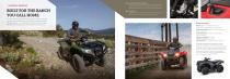 2017 REC/UTILITY ATVs-5