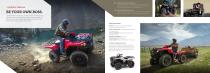 2017 REC/UTILITY ATVs-7