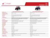 2021 PIONEER 1000-3