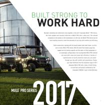 2017 MULE PRO SERIES SIDE X SIDES-3