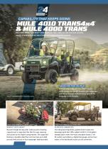 MULE ™-6