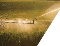 Big Gun® Brochure-6