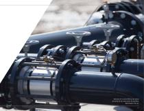 NELSON VALVES-5