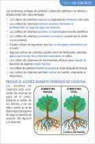 Riego de cobertura total para árboles & viñedos-5