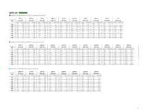 Soluciones Big Gun®-15