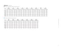 Soluciones Big Gun®-17