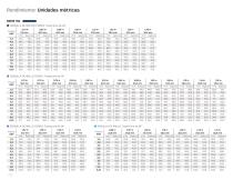 Soluciones Big Gun®-20