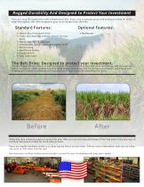 SUGAR CANE-2