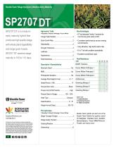 SP2707 DT - 1