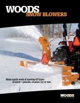 Snow Blowers - 1