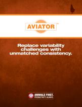 Aviator-1