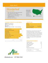 Wonderleaf-1
