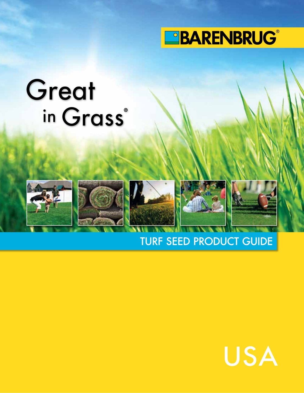 Great in grass - Barenbrug USA