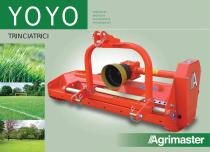 YOYO-1