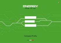 Company Profile-1
