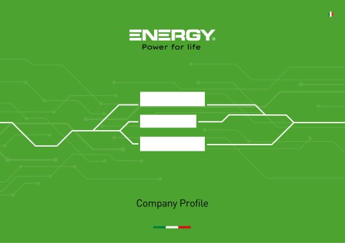 Company Profile