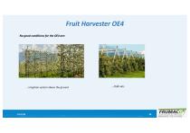 Fruit , Almond, Sour Cherry Harvesting Maschine-30