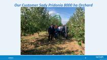 Fruit and Apple Harvesting Machine-16