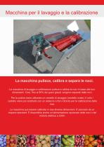 La lavorazione delle noci-10