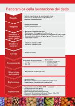 La lavorazione delle noci-3