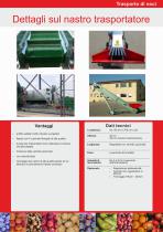 La lavorazione delle noci-5