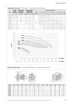 Two impeller pumps series CB-2