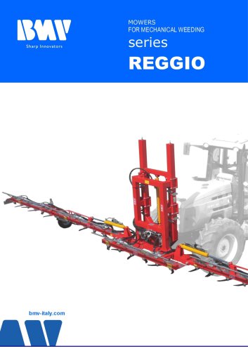 REGGIO