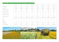 bonino-depliant-erbe-aromatiche-11
