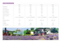 bonino-depliant-erbe-aromatiche-8