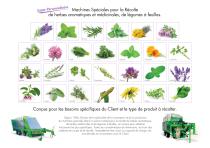 Herbes Aromatiques - 3