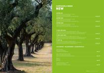 CATALOGO GREEN LINE 2022-2023-5