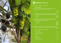 CATALOGO GREEN LINE 2022-2023-6