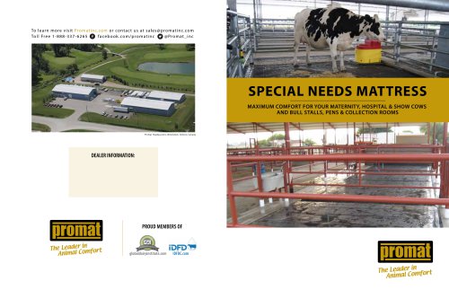Special Needs Mat Brochure