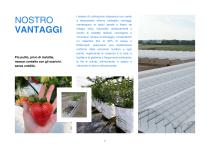 Trappole -7