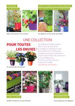COLLECTION VOLUTES-2