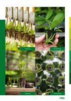 Jiffy portfolio catalogue-13