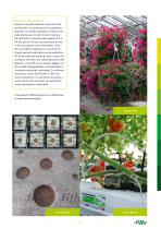 Jiffy portfolio catalogue-7