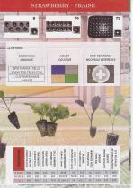 Seedling trays for vegetables, Seedling trays for flowers, trays for strawberries-4