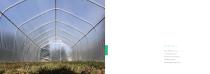 Polytunnels - 10