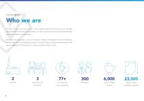 Viscon Group Brochure-4