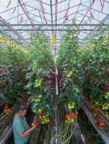 GreenPower LED toplighting-8