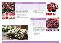 Flower Catalogue 2017-2018 SEED - 10