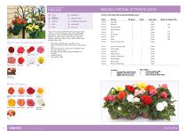 Flower Catalogue 2017-2018 SEED - 12