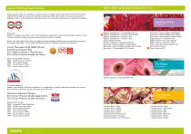 Flower Catalogue 2017-2018 SEED - 3