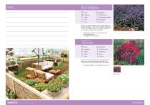 Flower Catalogue 2017-2018 SEED - 6