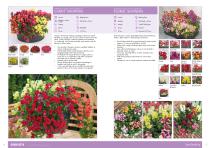 Flower Catalogue 2017-2018 SEED - 8