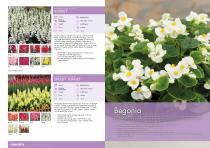 Flower Catalogue 2017-2018 SEED - 9